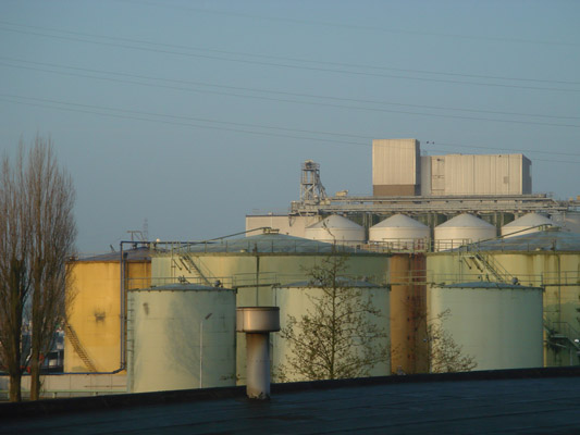 wageningen dageraad, gouden licht